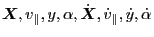 $ \ensuremath{\boldsymbol{X}},
v_{\parallel}, y, \alpha, \dot{\ensuremath{\boldsymbol{X}}}, \dot{v}_{\parallel}, \dot{y},
\dot{\alpha}$