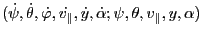 $ ( \dot{\psi}, \dot{\theta},
\dot{\varphi}, \dot{v_{\parallel}}, \dot{y}, \dot{\alpha} ; \psi, \theta,
v_{\parallel}, y, \alpha)$