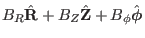 $\displaystyle B_R \hat{\mathbf{R}} + B_Z \hat{\mathbf{Z}} + B_{\phi}
\hat{\ensuremath{\boldsymbol{\phi}}}$