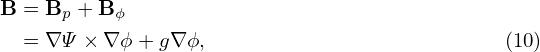 B = Bp + B ϕ

  = ∇ Ψ × ∇ϕ + g∇ϕ,                           (10)
